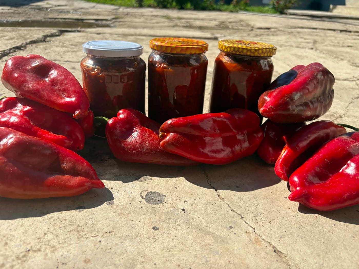 Domaći ajvar u teglama sa pečenim crvenim paprikama