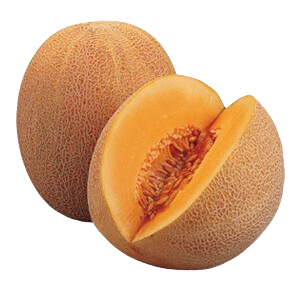 Domaća Dinja